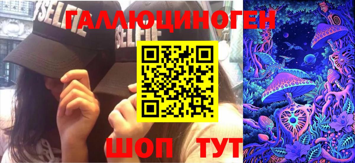 Псилоцибиновые грибы Psilocybe Красноярск